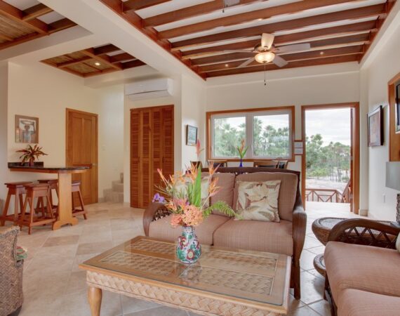 Placencia Belize two bedroom tree top villa