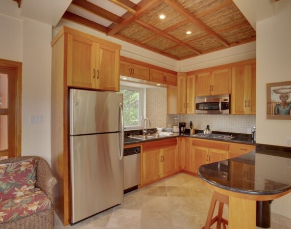 Placencia Belize two bedroom tree top villa