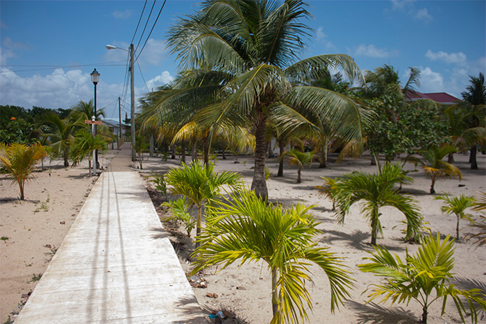 8 Facts about Placencia Sidewalk