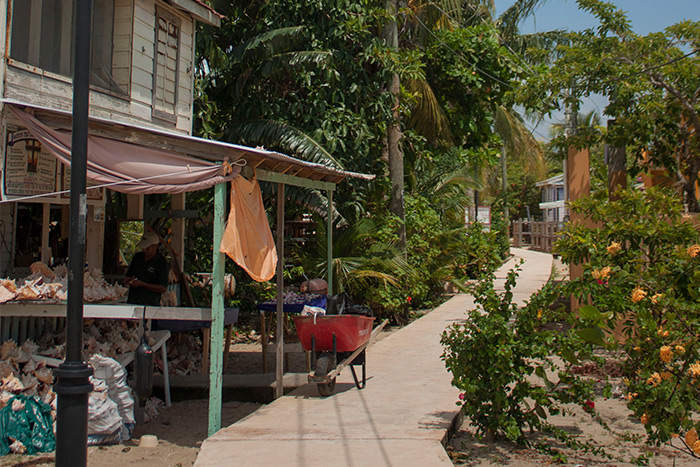 8 Facts about Placencia Sidewalk