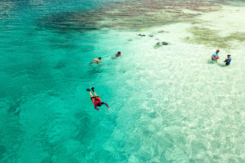 belize snorkeling tours